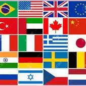 Dynamic Translation & Dictionary App