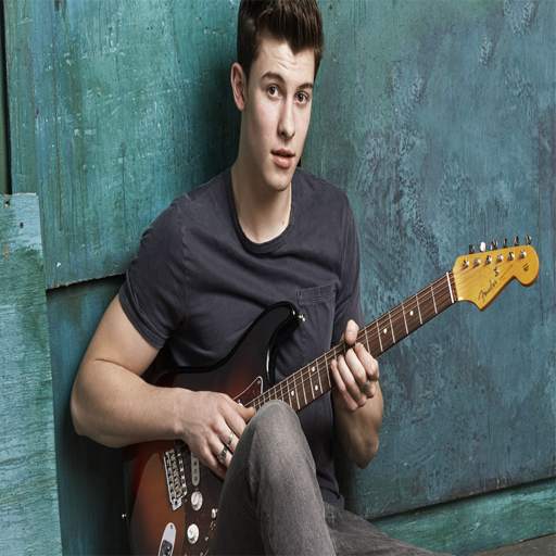 SHAWN MENDES-Songs Offline (40 Songs) 1.0