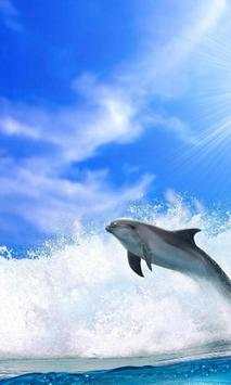 Shark live Wallpaper screenshot 3