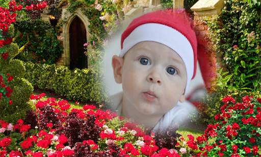 Photo Frame Family Photo Frame Garden application screenshot 24