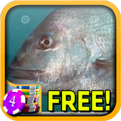 3D Snapper Slots - Free icon