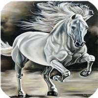 Horse  live wallpaper icon