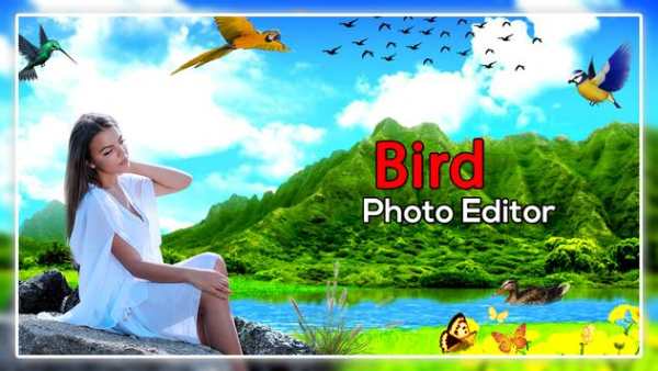 Bird Photo Editor screenshot 5