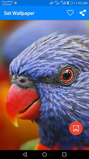 10000  Nature Wallpapers & Backgrounds 5 تصوير الشاشة