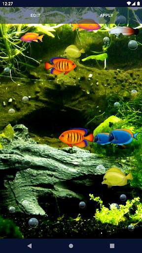 Aquarium Fish Live Wallpaper screenshot 6