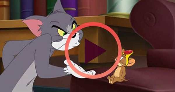 Tom & Jerry Cartoon Series : Full Videos screenshot 2