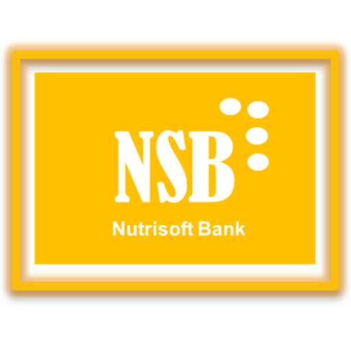 Ns Andro icon