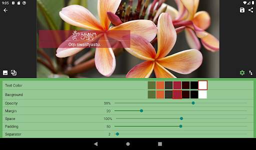 Balinese Script Transliteratio screenshot 14