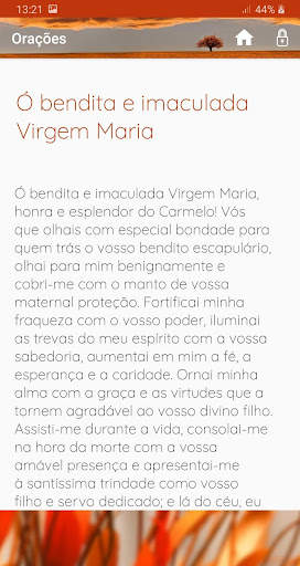 Nossa Senhora do Carmo screenshot 5