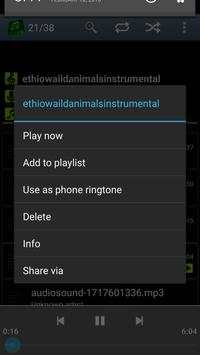 MP3 Player Pro screenshot 3