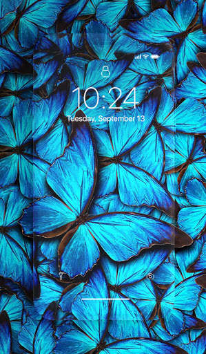 Butterfly Wallpaper screenshot 6