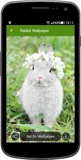 Rabbit Wallpaper screenshot 5