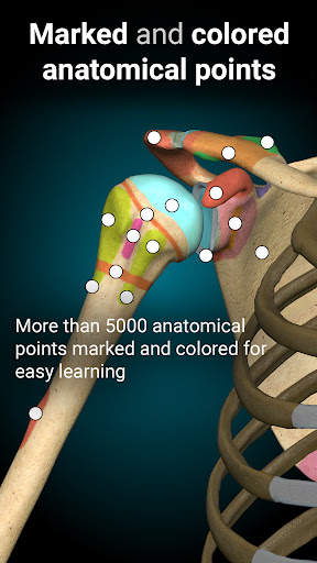 Anatomy Learning - 3D Atlas screenshot 3