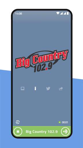 Mini Radio Player screenshot 2