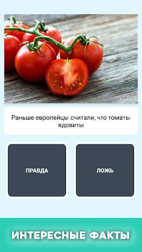 Правда или ложь - вопрос ответ скриншот 4