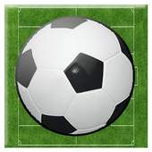 Falling Soccer 1.1.21