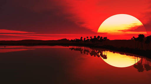 Download Wallpaper HD screenshot 9
