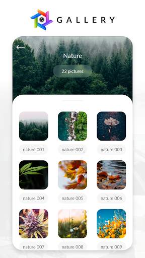 Gallery 2020 screenshot 1