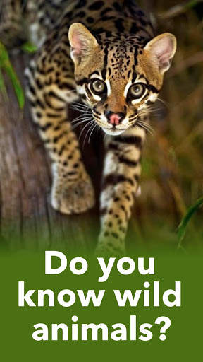 Animals Quiz - Learn All Mammals, Birds and more! screenshot 1