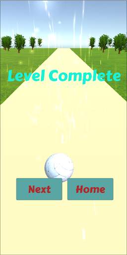 Street Ball 3D screenshot 6