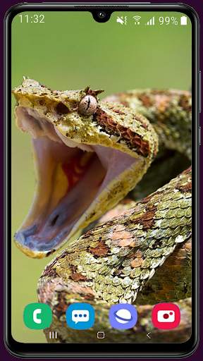 Snake Wallpaper Best HD screenshot 1
