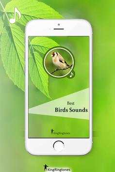 Bird Sounds - Bird Ringtones screenshot 2