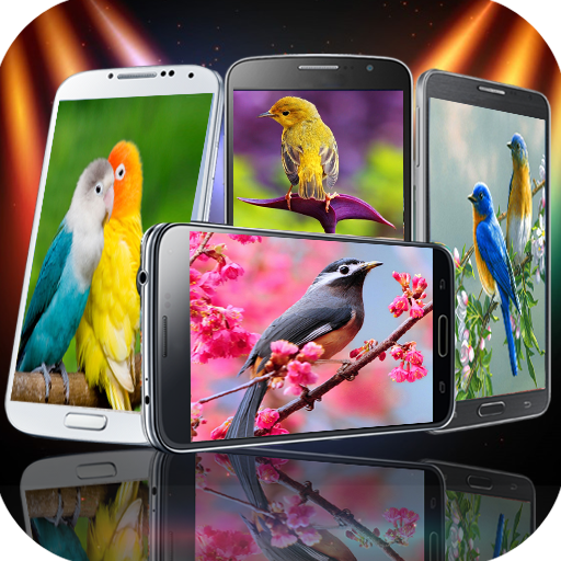 Birds Wallpaper HD icon