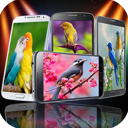 Birds Wallpaper HD 1.0.5