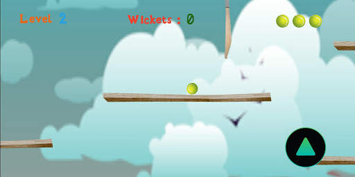 Cricket Ball : New Cricket Game screenshot 1