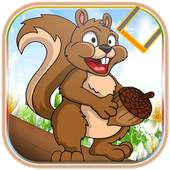 Squirrel run 1.1