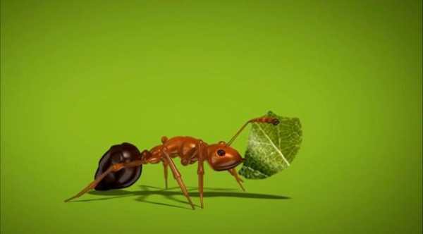 Ant Live Wallpaper screenshot 6