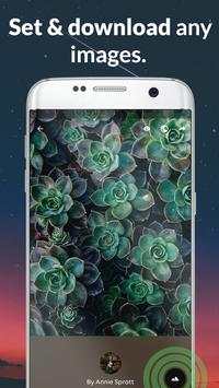 Discover screenshot 4