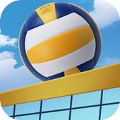 World Champion 3D - Spike Volleyball 2019 icon