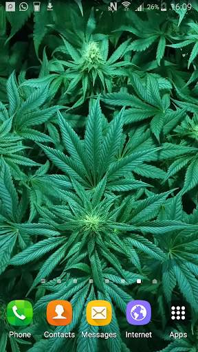 Weed Live Wallpaper screenshot 2
