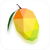 Mango Camera 2.49