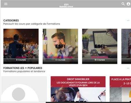 ESFI screenshot 5