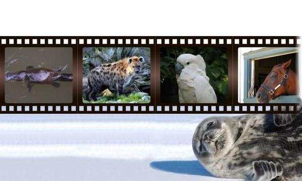 Best Funny Animals Sounds screenshot 7
