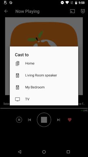 Malayalam FM Radio - Podcast, Malayalam Live Tv screenshot 7
