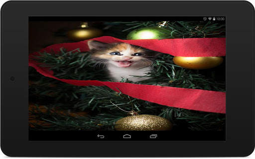 Christmas Pets Wallpapers screenshot 6