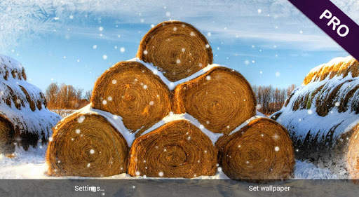 Winter Scenery Wallpaper screenshot 24