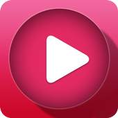 Digital Video Player 1.2