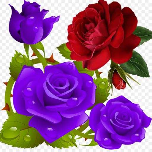 Flowers and Roses Live Wallpaper Gif App 14.4.7