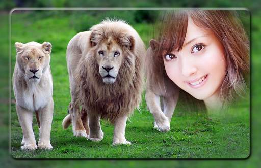 Lion Photo Frames screenshot 5