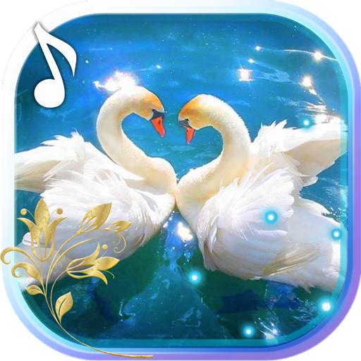 Swans Nobles LWP 1.13
