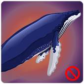Blue Whale : The Game 1