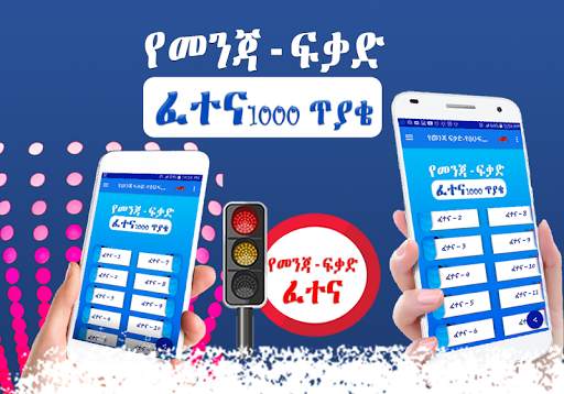 Driving License Exam - Amharic screenshot 7