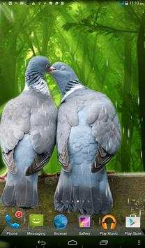 Rainy Bird Live Wallpaper screenshot 5