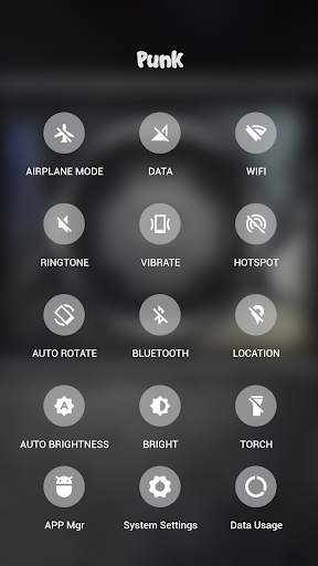 Punk APUS Launcher theme screenshot 2