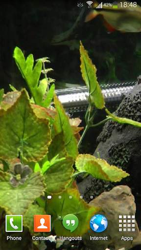 Fish Live Wallpaper HD 2 screenshot 7