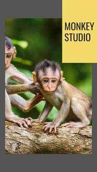 Monkey Studio: monkey king free videos app screenshot 2